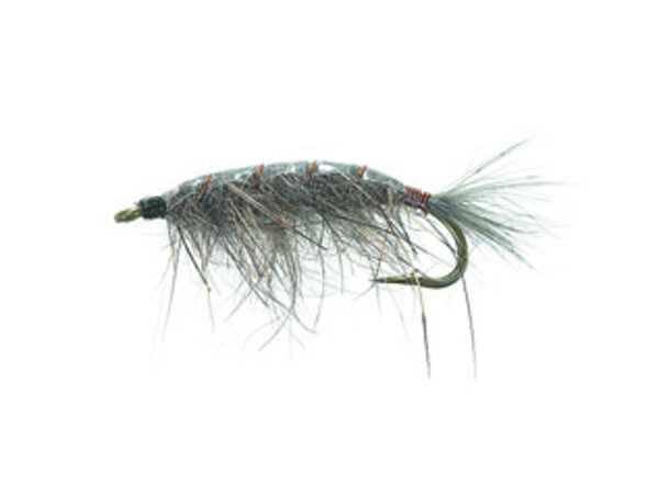 Tangloppe Grey TMC 200R #10