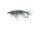Tangloppe Grey TMC 200R #10