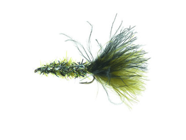 Børsteormen Peacock Daiichi 2220 #4