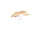 Light Zonker UV Daiichi 1710 #6
