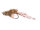 Elritse Brown Grizzly Daiichi 2421 #6