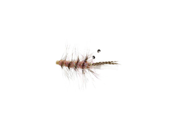 Alive Shrimp Tube Plast