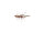 Alive Shrimp Tube Plast