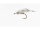 White Zonker Daiichi 1560 #4 BombardoFly