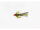 MiniNoblers Olive/Fluo Red Daiichi 1560 #10