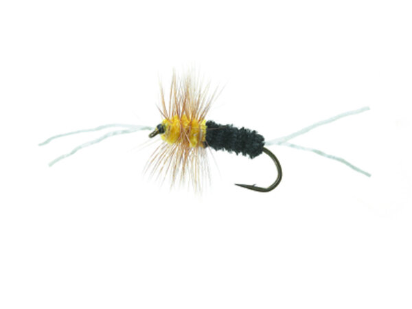 Bitch Creek Nymph Black/Yellow Daiichi 1710 #8