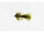 Holoside Bugger Olive Daiichi 1710 #12