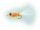 Krystal Bugger Fluo Orange Daiichi 1720 #8