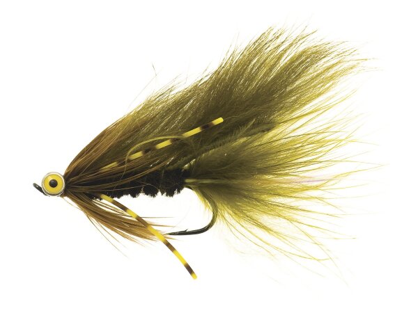 Zonky Olive TMC7989 #6