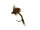 Baetis Emerger Biot Olive TMC212TR #17