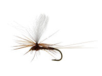 Marginata Dun Biot Brown TMC100 #14