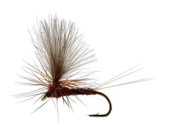 Vespertina Dun Brown TMC100 #16