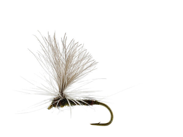 Baetis Dun Olive TMC100 #16