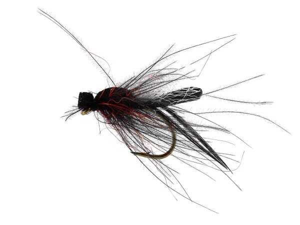 Bibio Pomonae Black TMC 2487 #12