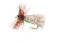 Goddards Caddis - Daiichi 1180 #12