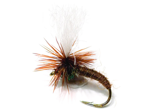 Klinkhammer Brown TMC 2487 #12