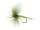 Aurivillii Olive Daiichi 1180 #12